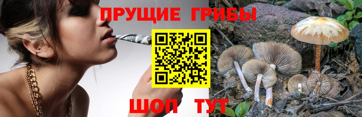 Галлюциногенные грибы GOLDEN TEACHER  цены наркотик  Тобольск  Вход с VPN 